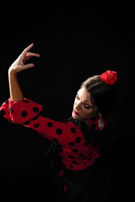 Malaga: Authentic Flamenco Dinner Show at Vino Mio - Key takeaways before you go