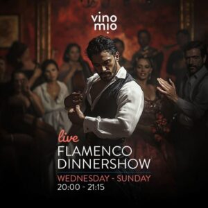 Malaga: Authentic Flamenco Dinner Show at Vino Mio - Timing in Malaga: arrive between 7:00 and 7:45 for the 8:00 show