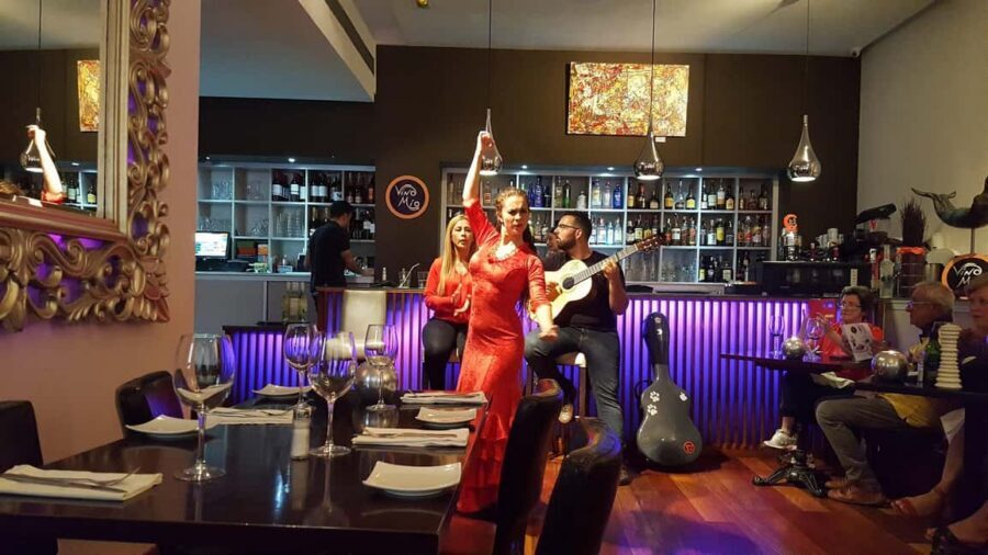 Malaga: Authentic Flamenco Dinner Show at Vino Mio - Food during the show: tasty choices, and what people seem to remember