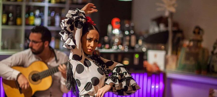 Malaga: Authentic Flamenco Dinner Show at Vino Mio - Who should book this flamenco dinner show?