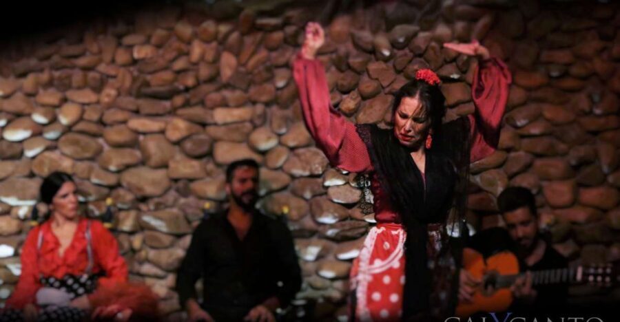 Malaga: Authentic Flamenco Show at El Gallo Ronco - Key things to know before you go