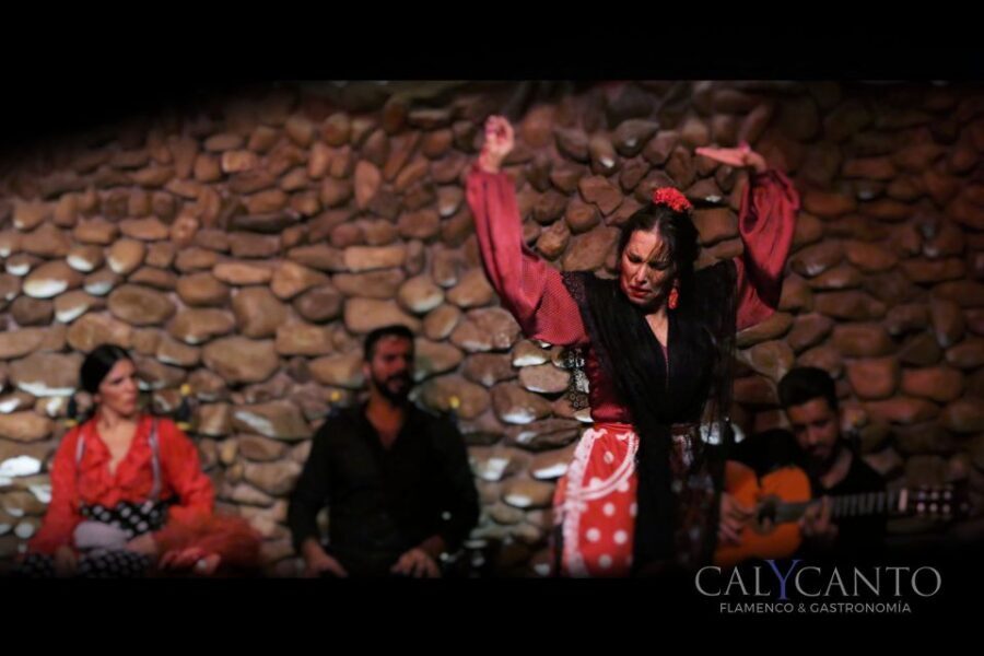 Malaga: Authentic Flamenco Show at El Gallo Ronco - The flamenco lineup: dancers, singers, and guitar up close