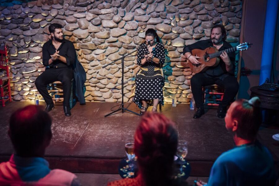Malaga: Authentic Flamenco Show at El Gallo Ronco - Who should book this flamenco show in Malaga