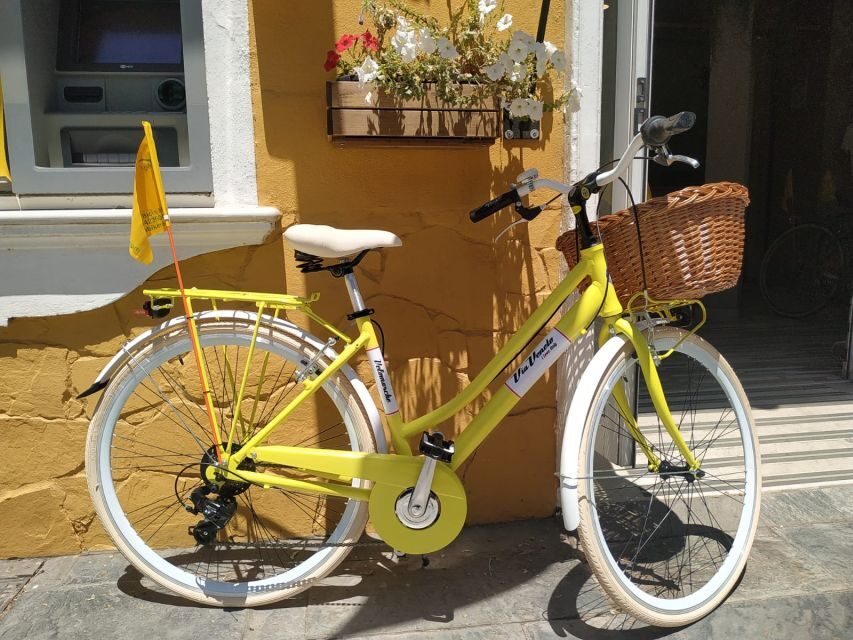 Malaga: Bike Rental for City Discovery Route & Beaches - Price and logistics: is $14 really good value?