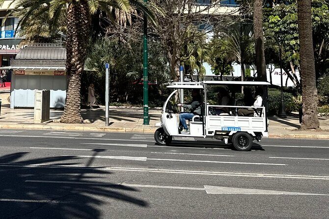 Malaga by Tuk Tuk i : 1 or 2 hours Private city tour - Getting set up: meeting point and what to expect