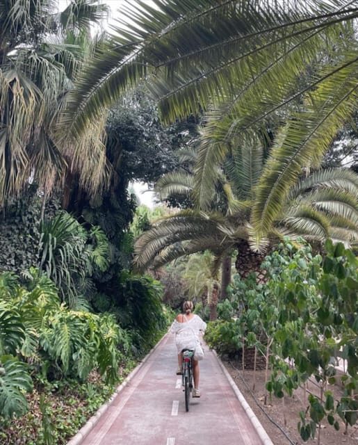 Malaga: Castle Hill and Fisherman Village E-Bike Tour - The big change: from city streets to the climb toward Gibralfaro