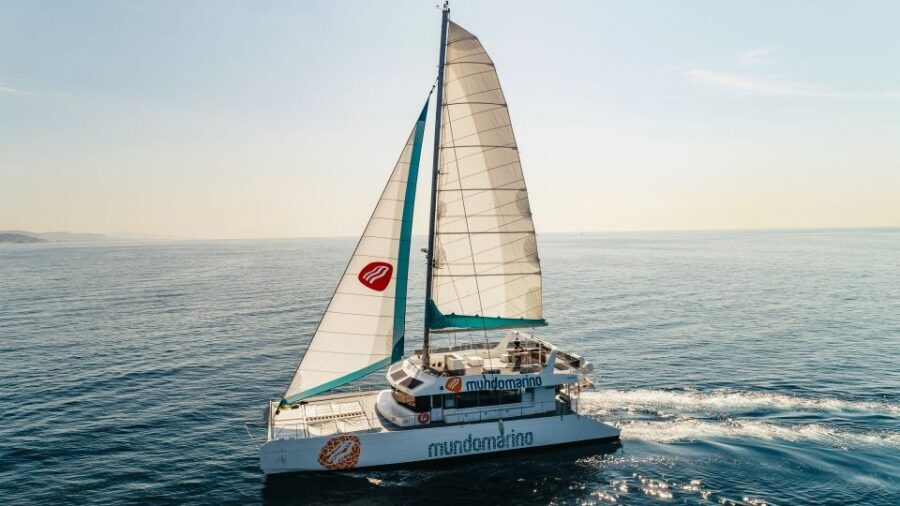 Malaga: Catamaran Sailing Cruise with Swimming & Optional DJ - Key Things You Should Know Before You Go