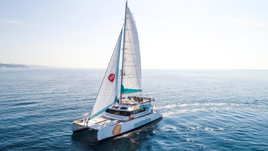 Malaga: Catamaran Sailing Cruise with Swimming & Optional DJ - Malaga from the Sea: Panoramic Views You Can’t Get from the Promenade