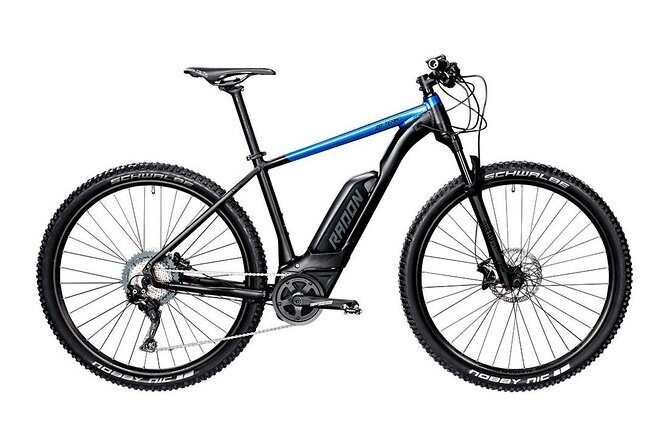 Malaga E-MTB Tour: Botanical Garden, Natural Park and Port of Malaga - The Guide Experience And The Small-Group Advantage