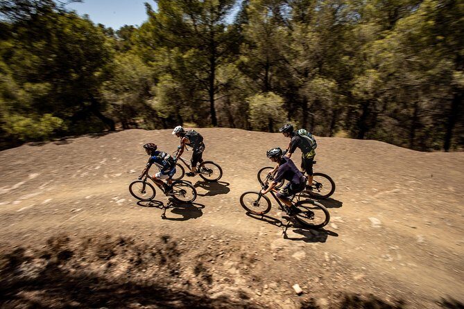 Malaga E-MTB Tour: Botanical Garden, Natural Park and Port of Malaga - Price And What 3 Hours Really Buys You