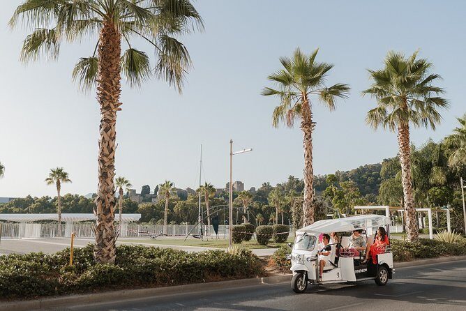 Malaga Expert Tour with Local Guide in Eco Tuk Tuk Private - Plaza de la Marina: where the city’s main axes cross