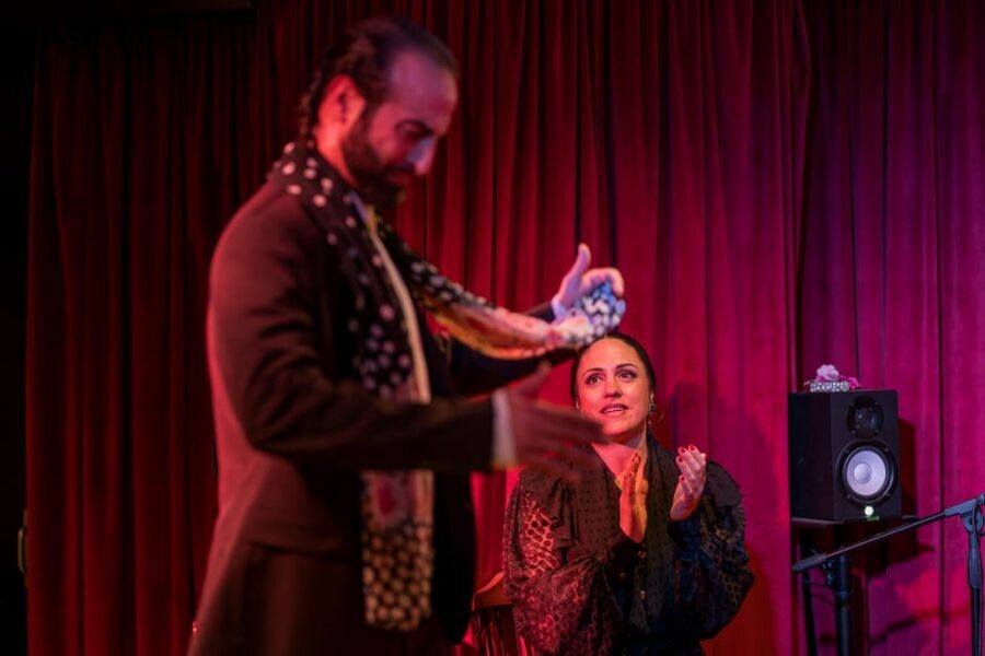 Málaga: Flamenco Course 4pm + 1-Hour Show, 3 Tapas and Drink - Who Should Book This Flamenco Course in Málaga