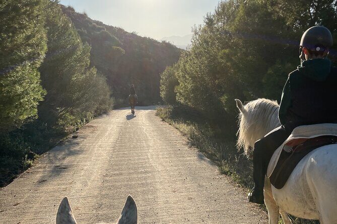 Malaga - guided horseback riding - Key Highlights to Know Before You Go