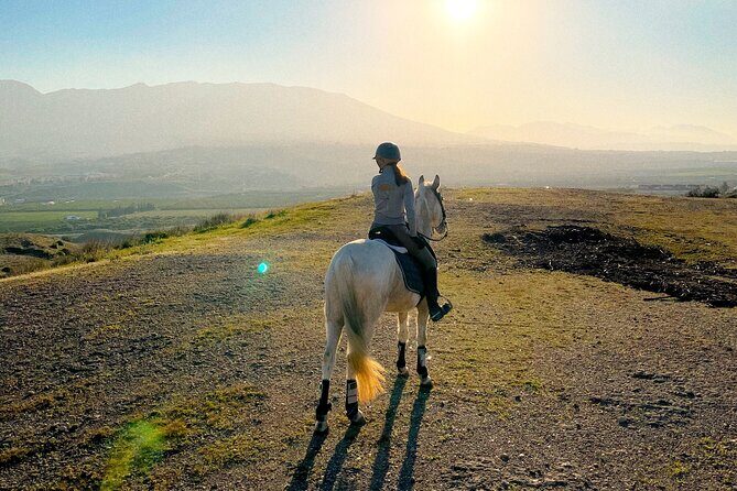 Malaga - guided horseback riding - Entering El Roble: The Moment You Meet the Horses