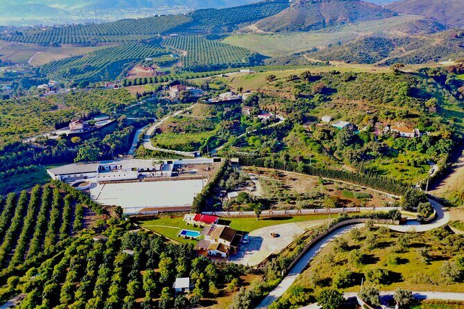 Malaga - guided horseback riding - Timing and Practical Logistics: When to Go and How Long It Really Feels