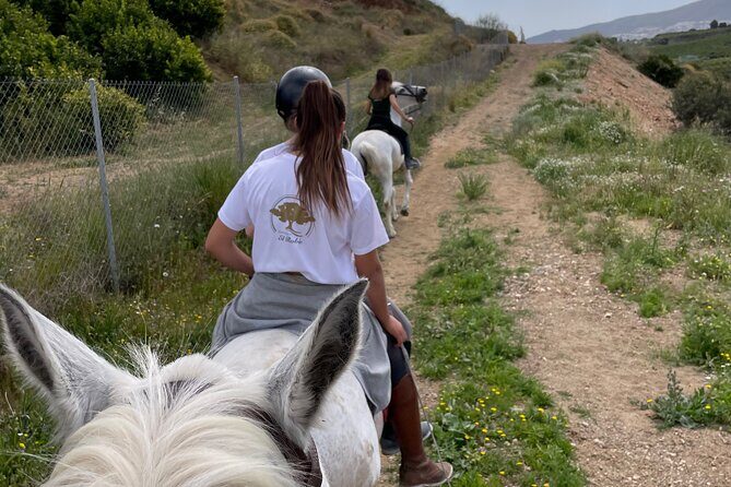 Malaga - guided horseback riding - Price and Value: $45.66 for a Calm, Guided Country Escape