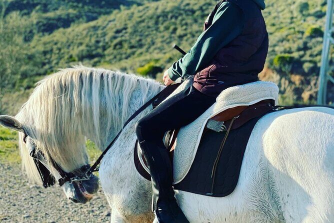 Malaga - guided horseback riding - Who Should Book This Horse Ride