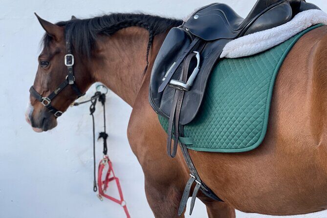 Malaga - guided horseback riding - Should You Book the Malaga Horse Ride at Club Hipico El Roble?