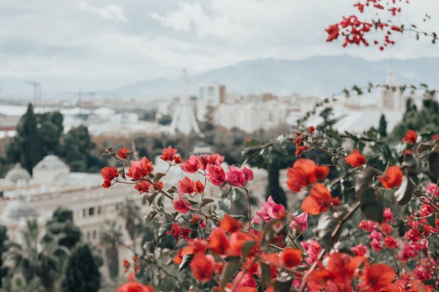 Málaga: Highlights, Old Town & Viewpoint Walking Tour - Should you book this Old Town & viewpoint walk?