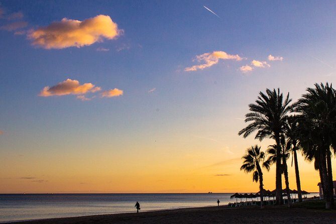 Malaga Highlights, Old Town & Viewpoints Walking Tour - Puerto de Málaga: the renewed port and why it still matters