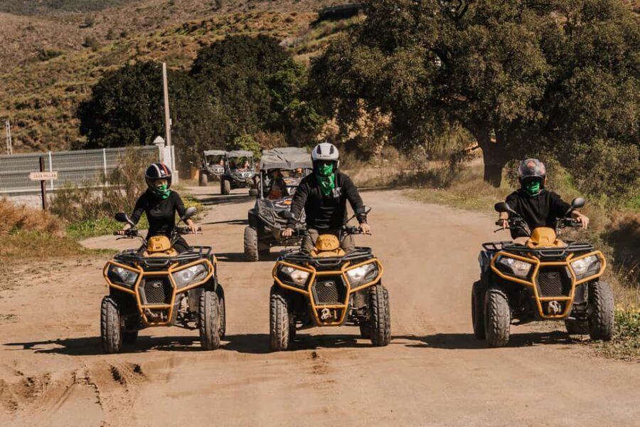 Málaga: Off-road Tour by 2-Seater Quad in Mijas - Wildlife spotting: not a guarantee, but the route is built for it