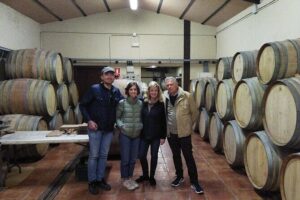 Malaga Organic Vineyard and Winery Six Wines Tapas and Transfer - Bodega Malvajio garage winery: six organic wines plus paired tapas