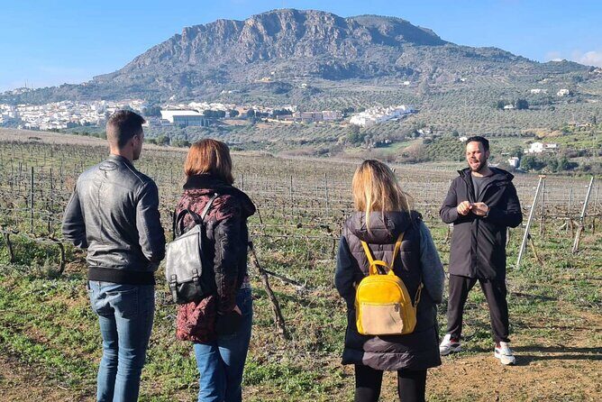 Malaga Organic Vineyard and Winery Six Wines Tapas and Transfer - Small-group atmosphere with Antonio and guides like Sasha, Beatrice, and Pablo