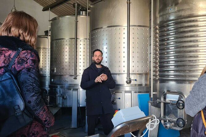 Malaga Organic Vineyard and Winery Six Wines Tapas and Transfer - Price and value: what you get for about $115 in Málaga