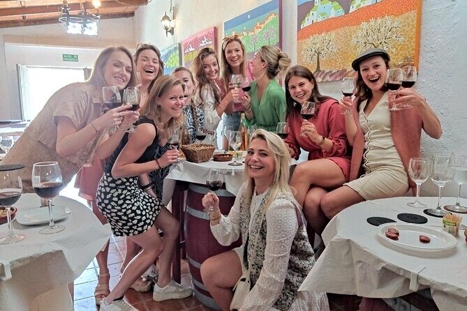 Malaga Organic Vineyard and Winery Six Wines Tapas and Transfer - Who should book this rural wine-and-tapas outing