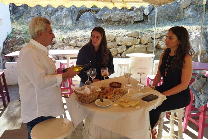 Malaga Organic Vineyard and Winery Six Wines Tapas and Transfer - Should you book Malaga Organic Vineyard and Winery Six Wines Tapas and Transfer?