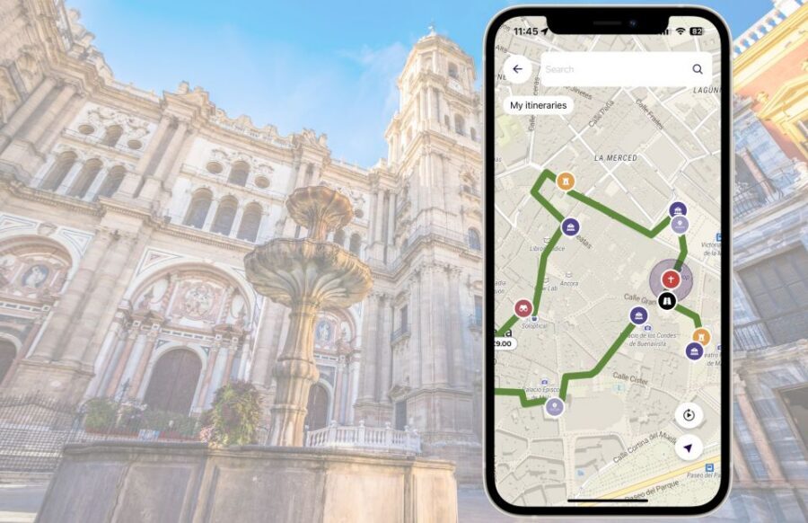 Málaga: Picasso Birthplace Museum Ticket & City Audio Guide - Should you book the Picasso birthplace ticket + city audio guide?