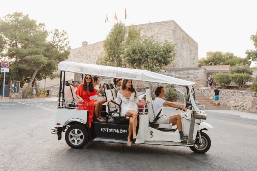 Malaga: Private City Tour by Eco Tuk Tuk - Should You Book This Malaga Eco Tuk Tuk Tour?