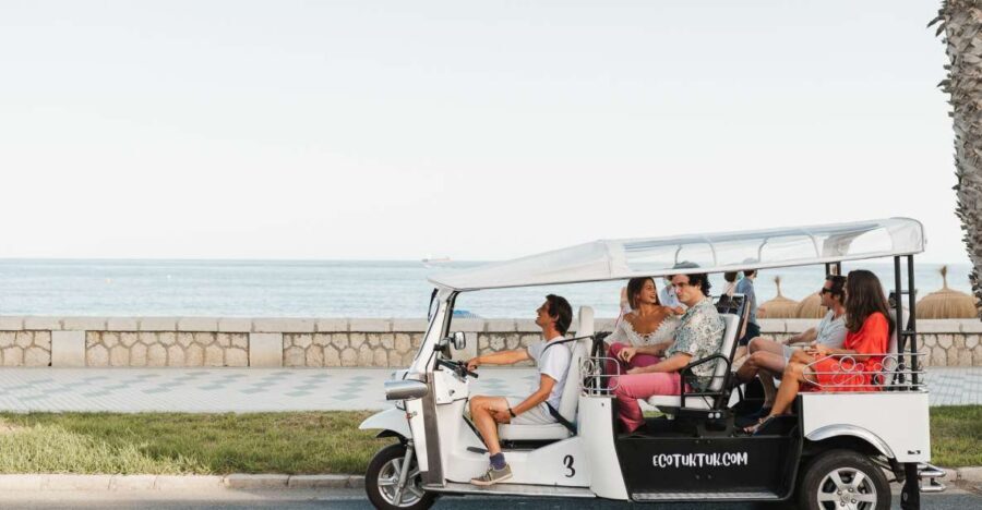 Malaga: Private City Tour by Eco Tuk Tuk - Why a Private Electric Tuk Tuk Tour Works So Well in Malaga