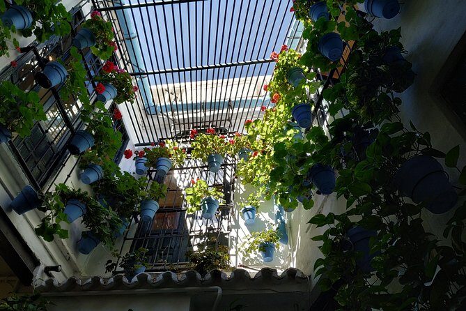 MALAGA PRIVATE TOUR - by OhMyGoodGuide - Muelle Uno: a quick warm-up with port life