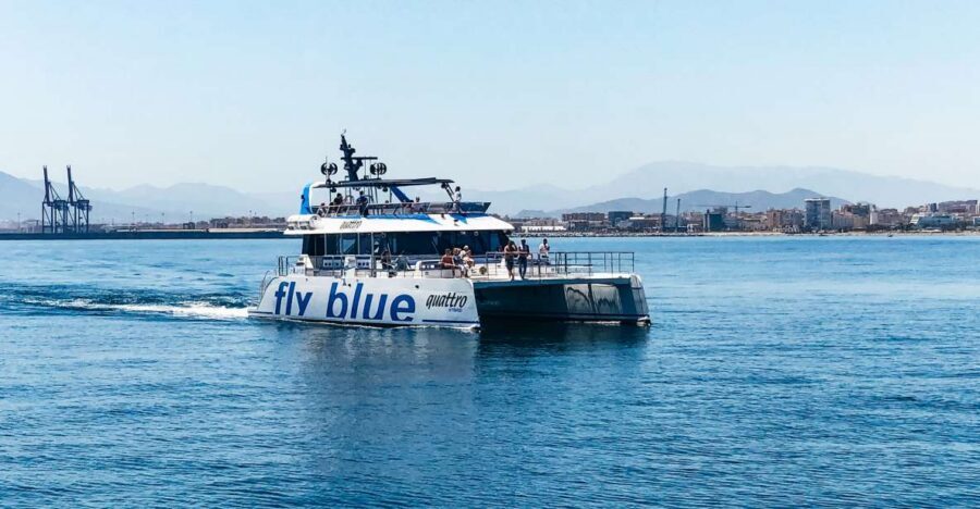 Málaga: Scenic Catamaran Cruise - Swimming and Jumping In: When It Happens (and When It Might Not)
