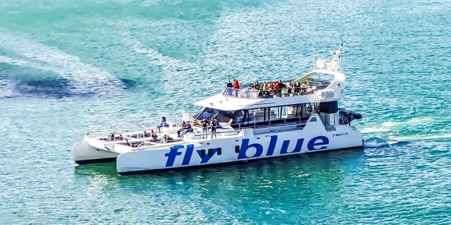 Málaga: Scenic Catamaran Cruise - Price and Value: Why $15 for an Hour Feels Fair