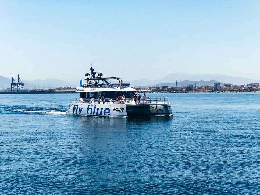 Málaga: Scenic Catamaran Cruise - Weather, Delays, and Late Arrival Rules