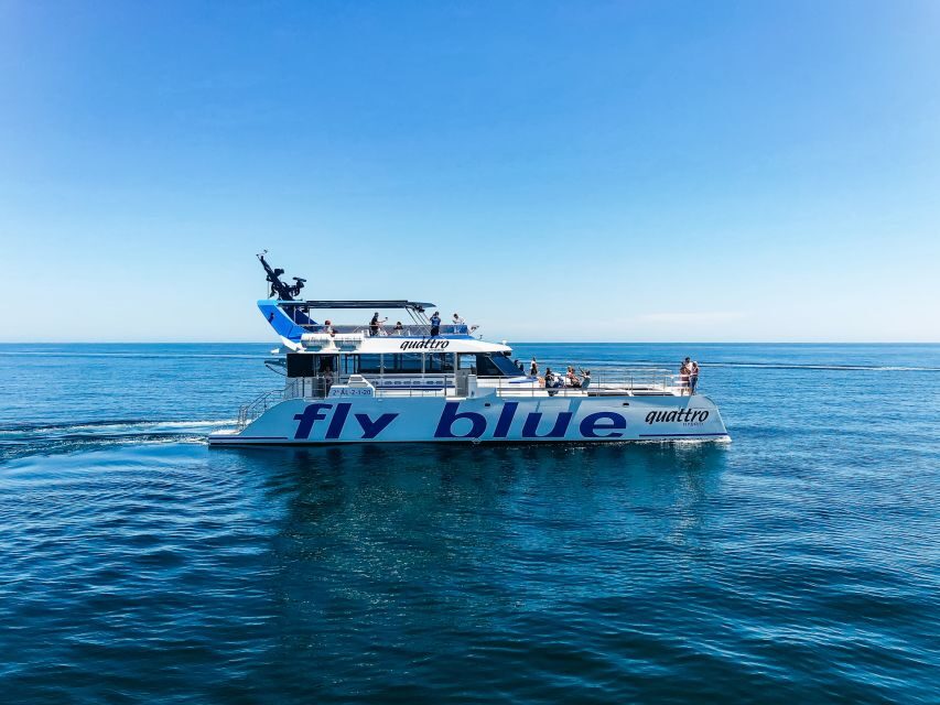 Málaga: Scenic Catamaran Cruise - Practical Rules on Board (So You Don’t Trip Any Limits)