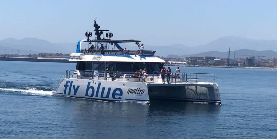 Málaga: Sunset Catamaran Trip - What You’ll Actually See: Skyline Views and the Dolphin Surprise
