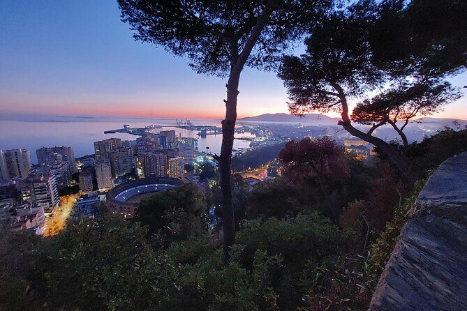 Málaga Sunset & Night Tour by Electric Car - Fishing neighborhoods, barbecued-fish vibes, then back to the center