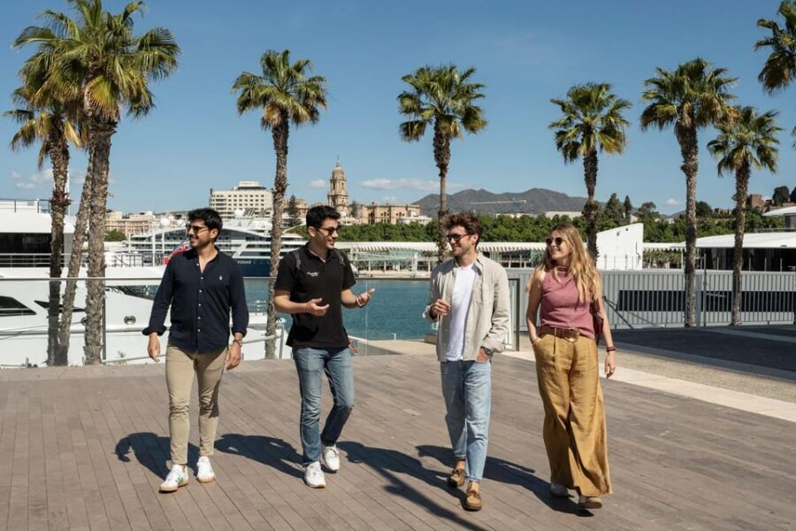 Málaga: Tapas, Wine & Rooftops Private Tour - Price and value: is $283 per person a fair deal?