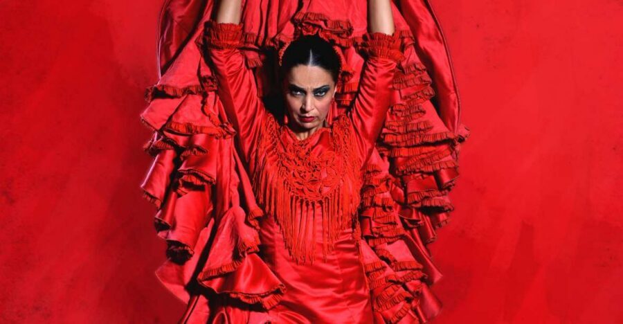 Malaga: Teatro Flamenco Malaga Live Flamenco Show - Key things that matter before you go