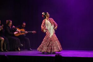 Malaga: Teatro Flamenco Malaga Live Flamenco Show - Seats, sound, and the reality of a small stage