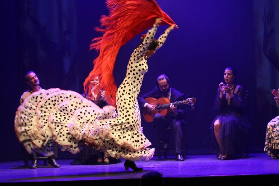 Malaga: Teatro Flamenco Malaga Live Flamenco Show - What the show feels like: dancers, singers, and guitar under Esencia