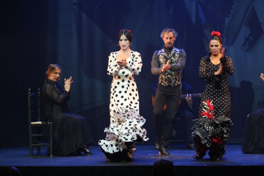 Malaga: Teatro Flamenco Malaga Live Flamenco Show - Bar drinks, no food, and planning a smooth evening in Malaga