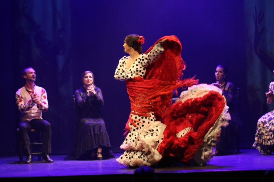 Malaga: Teatro Flamenco Malaga Live Flamenco Show - The $34 price: is it good value for real live flamenco?