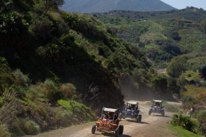 Málaga: Tour guiado en Buggy 4x4 por Mijas (2 o 4 plazas) 1h - Old trade routes and cattle tracks: why the grove stops matter