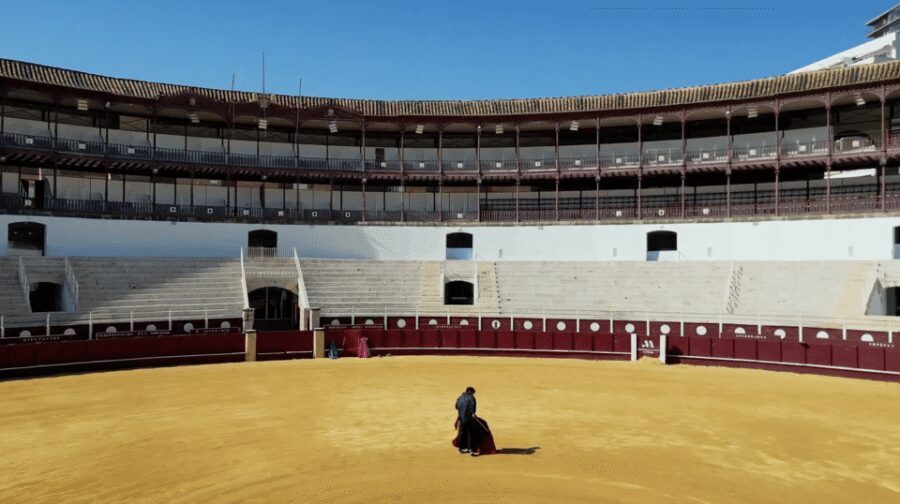 Malaga: Tour of Malagueta Bullring & Immersive Exhibition - Key highlights to know before you buy