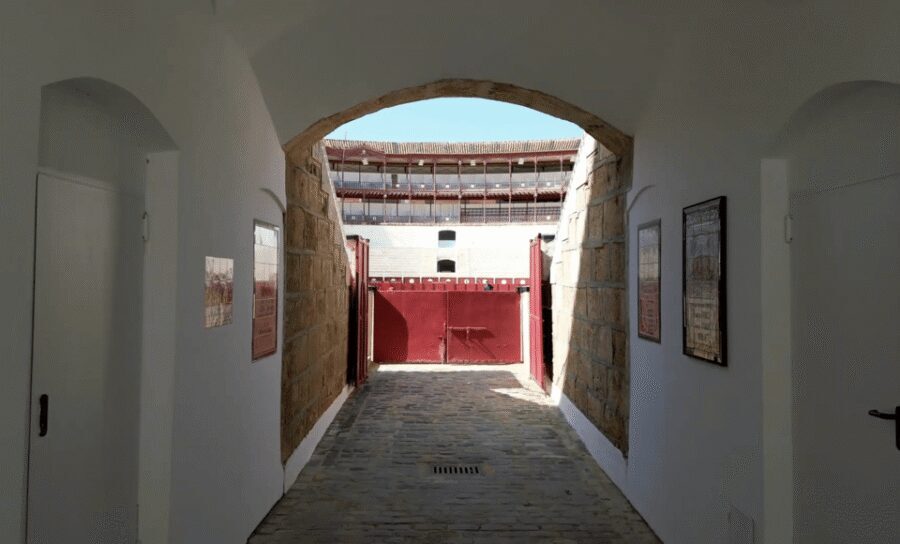 Malaga: Tour of Malagueta Bullring & Immersive Exhibition - Malagueta Bullring: what this experience is really about
