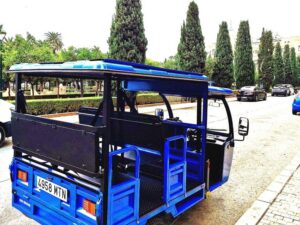Malaga: Tuk tuk tour - Old Town Orientation: Plaza de la Merced, Gardens, and the English Cemetery
